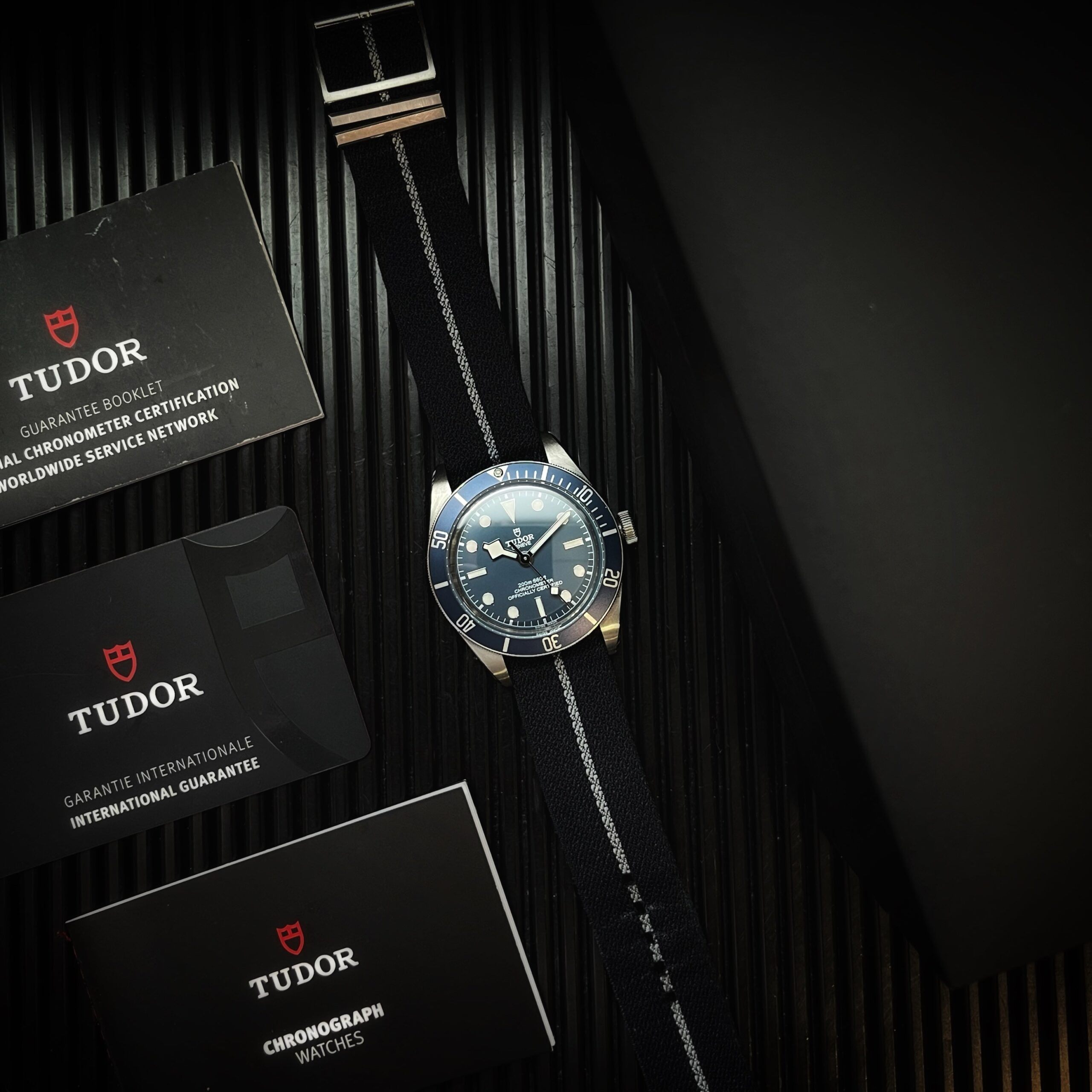Tudor blackbay Snowflake 58 bleu