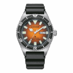 Citizen – PROMASTER MARINE