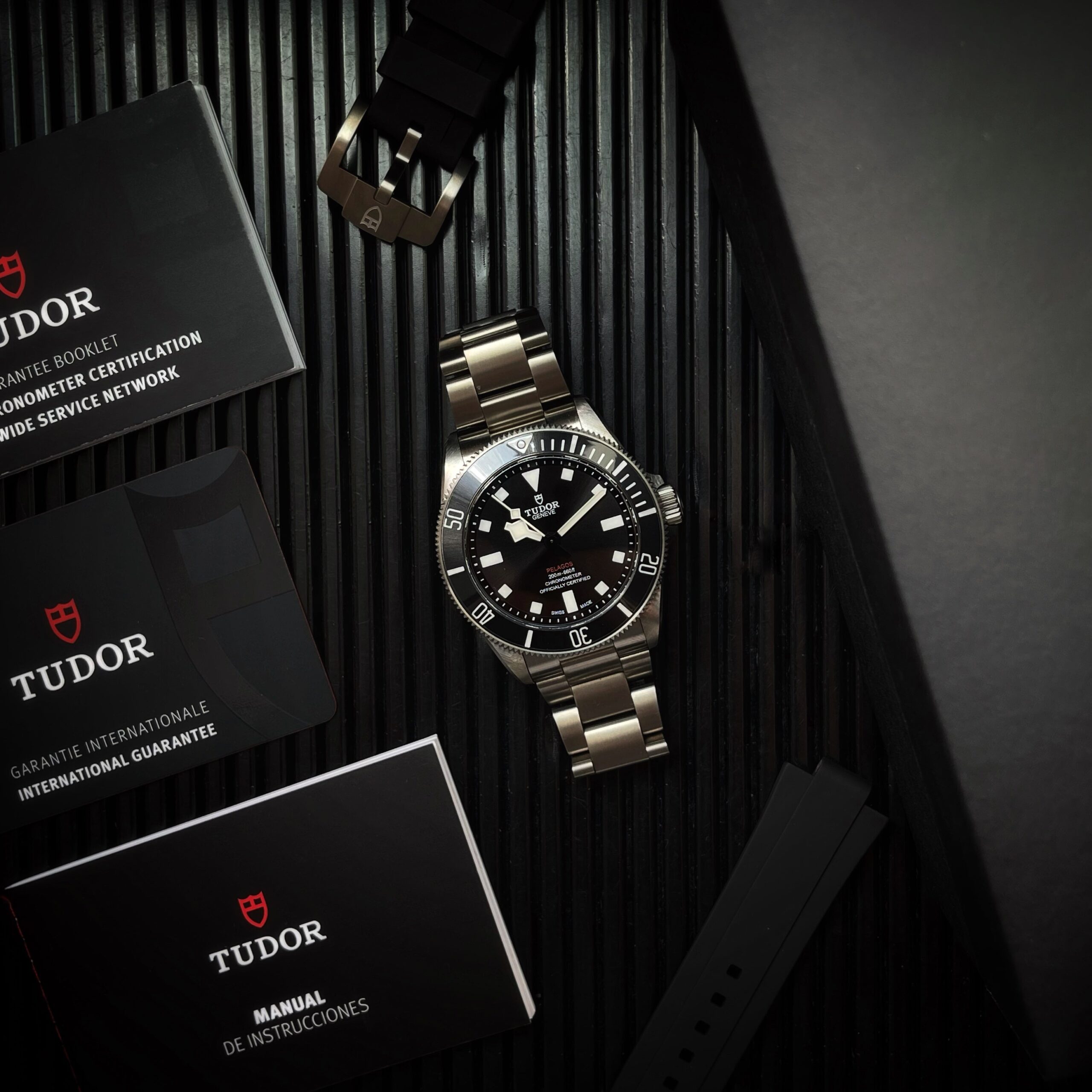 Tudor Pelagos Snowflake Titane