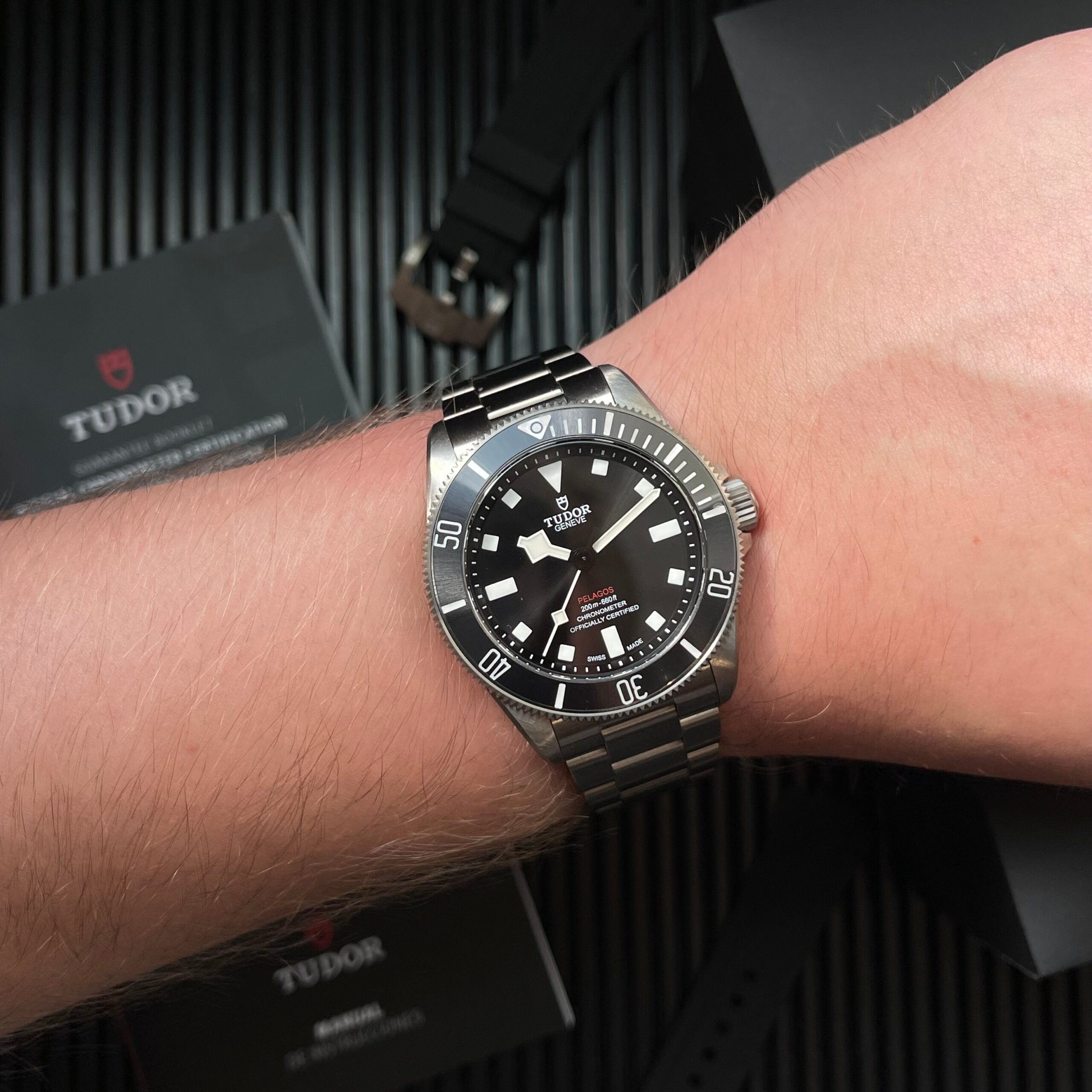 Tudor Pelagos Snowflake Titane