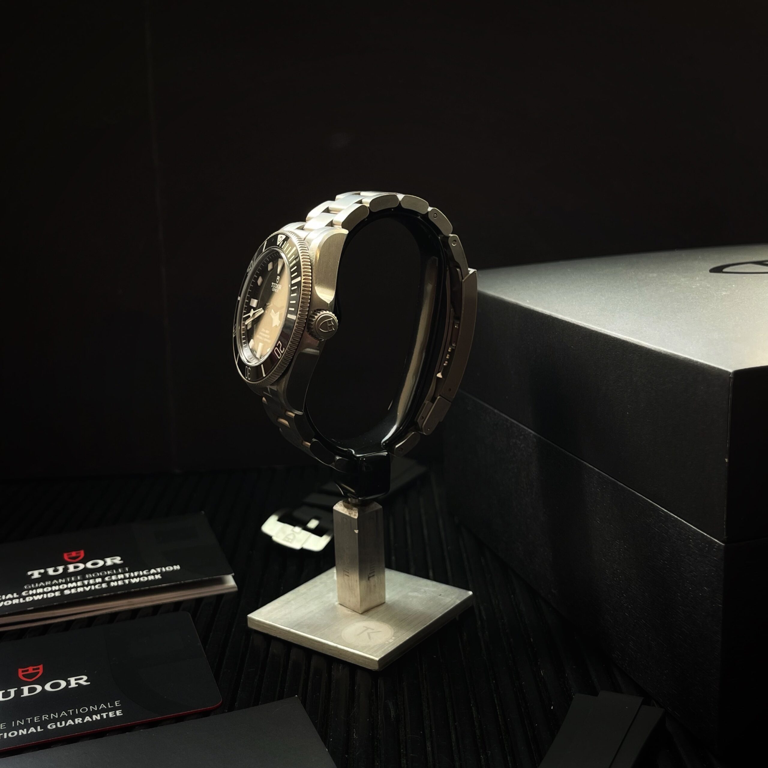 Tudor Pelagos Snowflake Titane