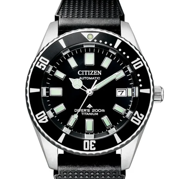 Citizen - Fujitsubo Mechanical diver