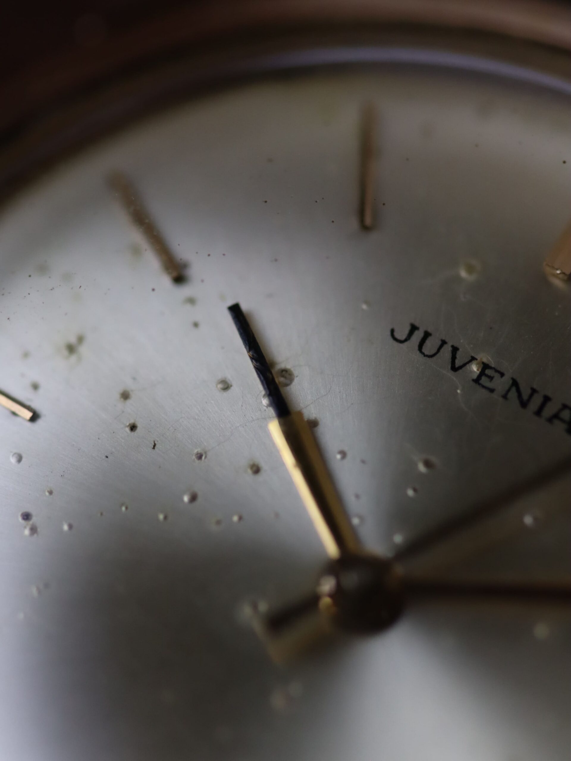 Juvenia Classic Rose Gold