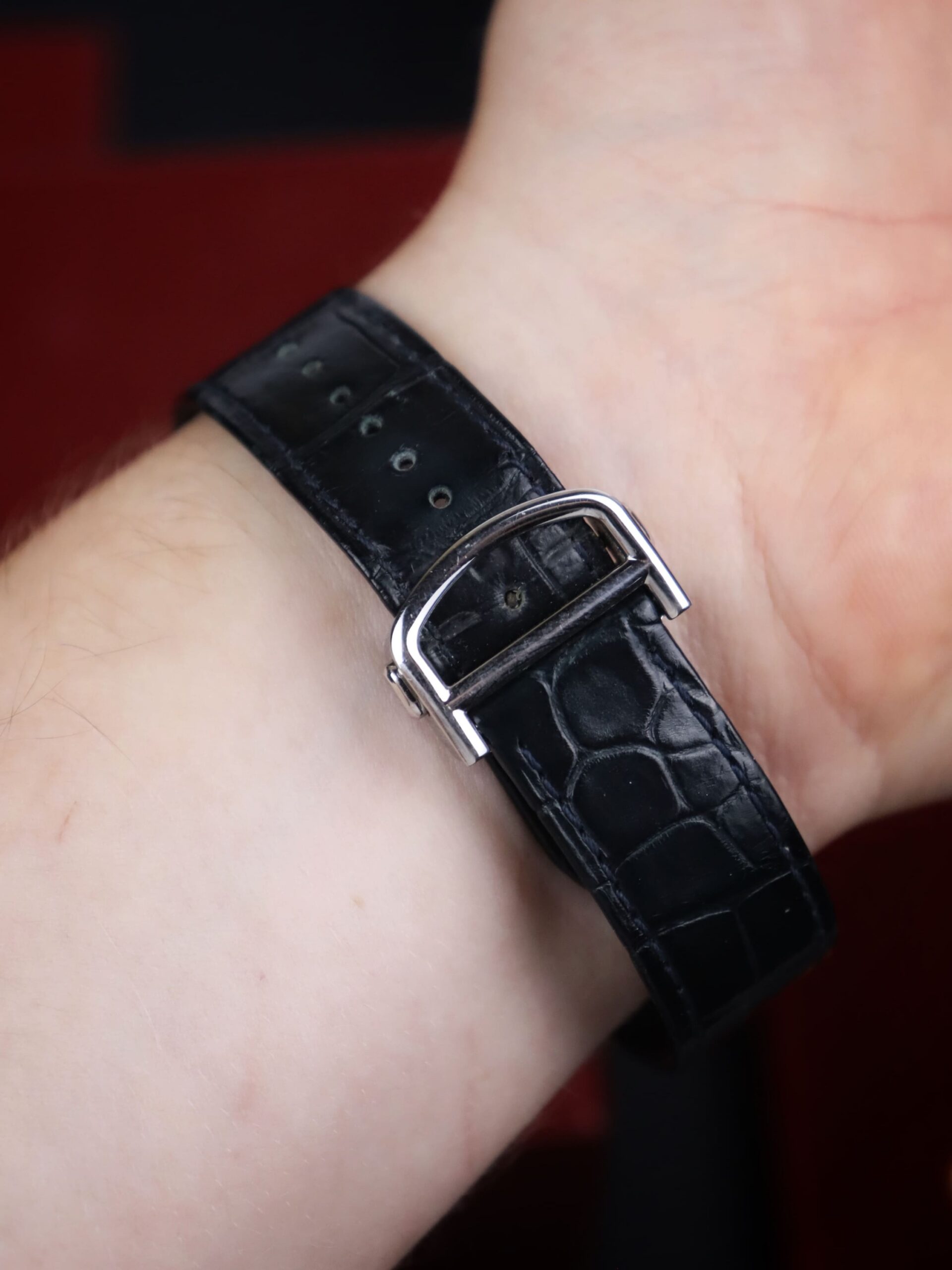 Cartier Pasha Ref WSPA0010