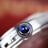 Cartier Pasha Ref WSPA0010
